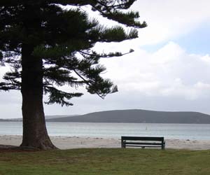 view of our local environment middleton beach albany wa